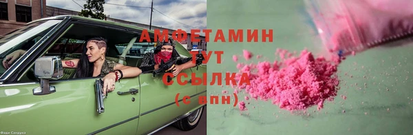 твердый Алзамай