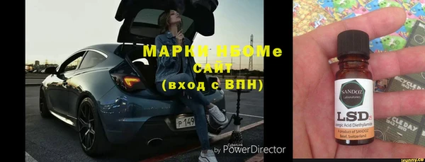 прущие грибы Алексин
