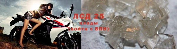 прущие грибы Алексин