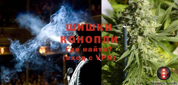 прущие грибы Алексин