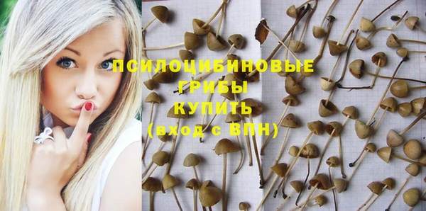 твердый Алзамай