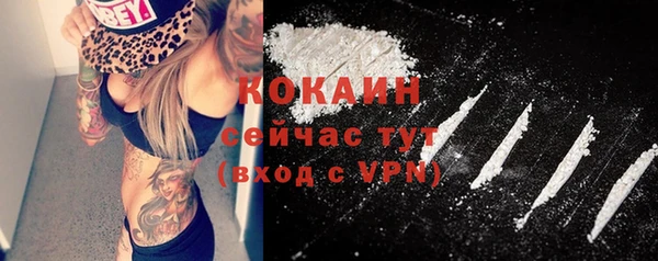 прущие грибы Алексин